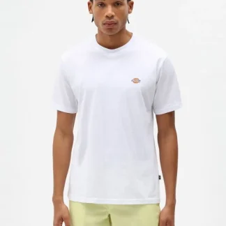 DICKIES - Mapleton Short Sleeve T-Shirt - White