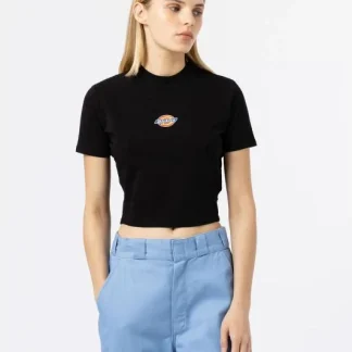 DICKIES - Maple Valley Short Sleeve T-Shirt - BLACK